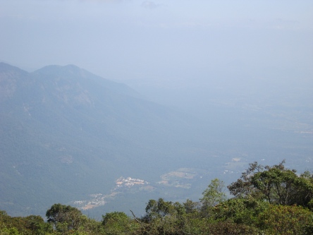 The mountain slopes near Mettupalayam